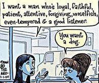 You want a dog