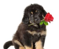 My friend