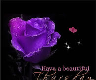 Have a Beautiful Thursday