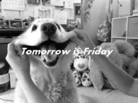 Tomorrow Is Friday