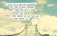 life is a roller coaster