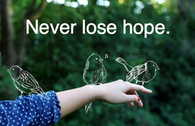 never lose hope 