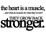 the heart is a muscle