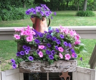 Vintage Cupboard Planter