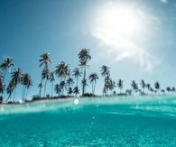 Perfect summer vacation