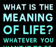 the meaning of life