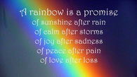 A Rainbow is....