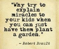 Miracle Garden
