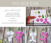paper orchid bloom
