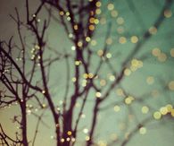 Twinkling lights