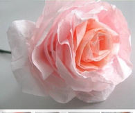 DIY roses