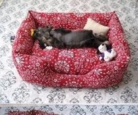 DIY Fabric Pet Sofa