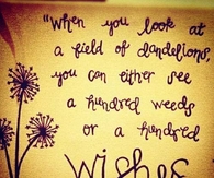 Dandelions