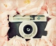 Camera and flowers
