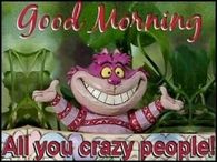 good morning crazy people