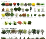 plants for lanscaping