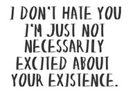 I don't hate you