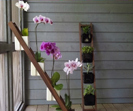 ladder planter