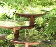 Garden Decor