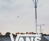 Vans logo