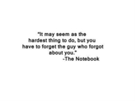 The notebook movie quote