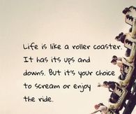 Life Is Like A Roller Coaster