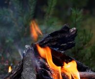 Bonfire Gif
