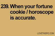 239-fortune-cookie