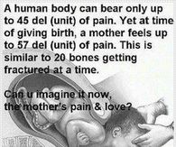 the mothers pain and love
