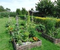 DIY Garden Posts