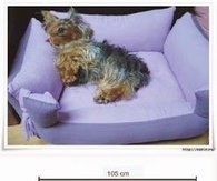 DIY doggy bed