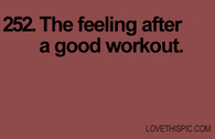 252-workout