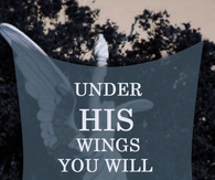 Under His Wings