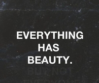 Everything has beauty