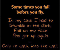 sometimes you fall