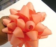 DIY Bow Ribbon