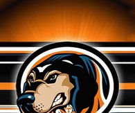 Tennessee Volunteers