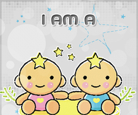 I am a Gemini