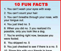 10 fun facts