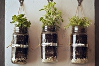 Small Garden Ideas