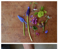 DIY Egg Decor