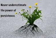 the power of persistance