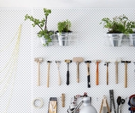 Workbench Organization