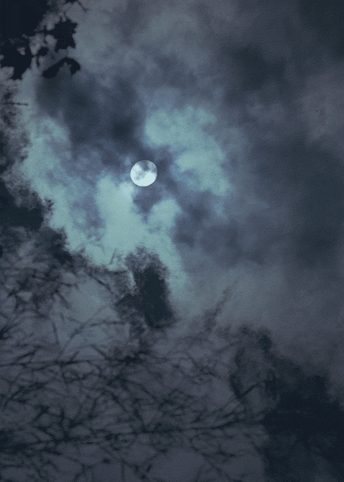 Moon reflection