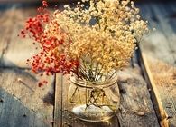 Wild flowers in vase