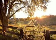 Country sun