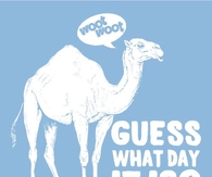 Hump Day!