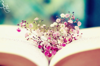 Heart shaped flowers