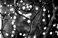Black and white bokeh