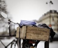 Bicycle in the city